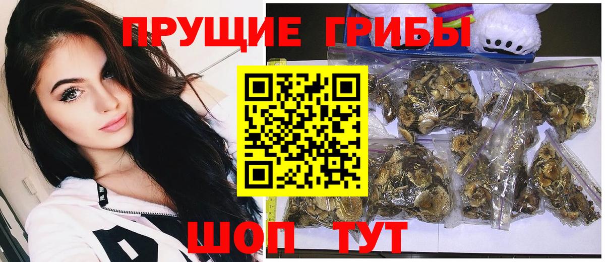 Псилоцибиновые грибы MAGIC MUSHROOMS Отрадный