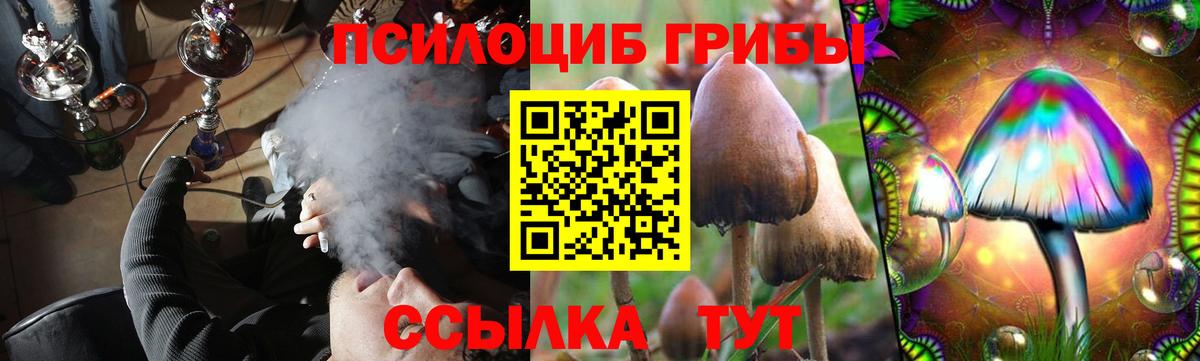Псилоцибиновые грибы ЛСД  Псилоцибиновые грибы мухоморы  Отрадный  Вход с VPN 
